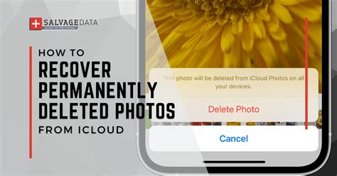 How To Recover Permanently Deleted Photos From ICloud SalvageData