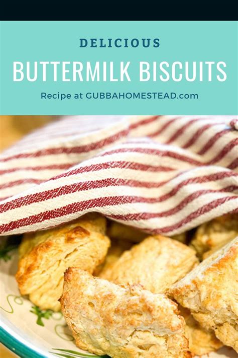 Delicious Buttermilk Biscuits Gubba Homestead