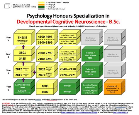 Honours Specialization Bsc Developmental Cognitive Neuroscience