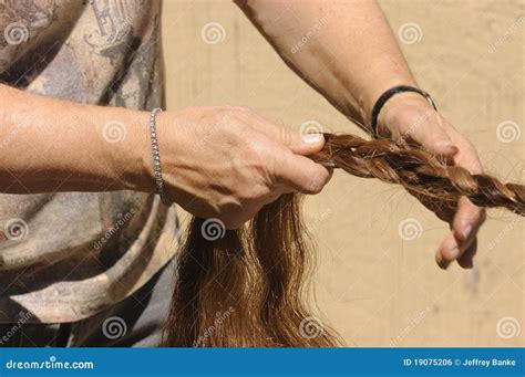 Braiding a horses tail stock photo. Image of halter, herbivore - 19075206