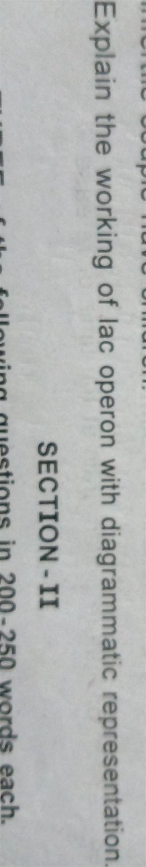 Explain The Working Of Lac Operon With Diagrammatic RepresentationSECTIO