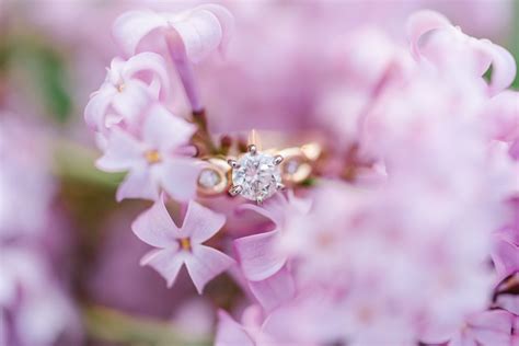 Northfield Engagement With Lilacs Jennifersandersphotography