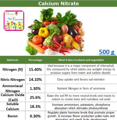 Calcium Nitrate Plant Fertilizer Lazada PH