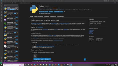 S D Ng Visual Studio Code Python