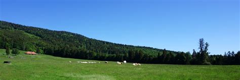 Plan Des Roses And Lac De T N Destination Montagne