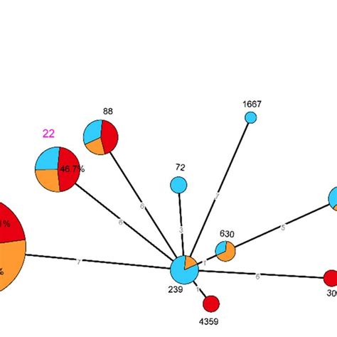 Minimum Spanning Tree Of MRSA Isolates Based On MLST Types In BJI