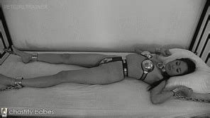 My Hot Collection Bdsmlr 11083513 AeN9FZSubm Porn Pic