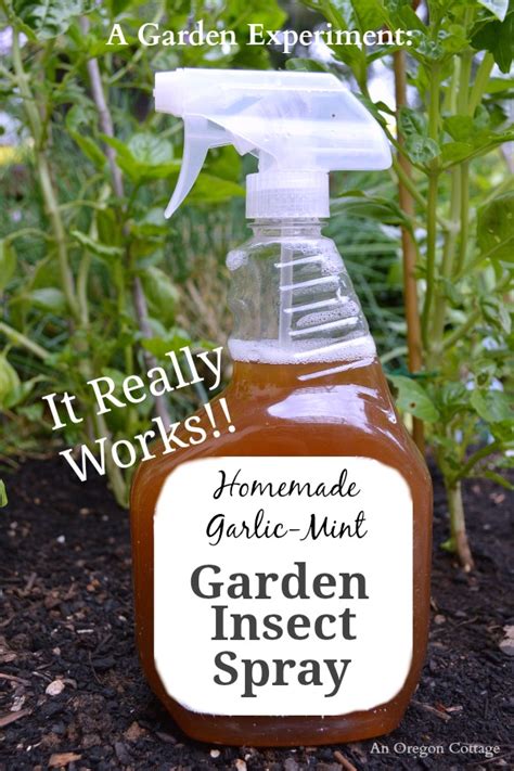 Diy Organic Garden Pest Spray Christine Covino Off