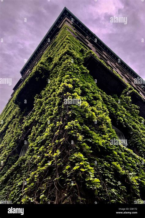 Ivy Covered Building On West End Avenue In New York City Stock Photo