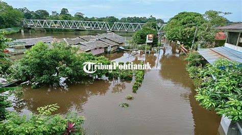 Banjir Di Kabupaten Sanggau Meluas Bupati Tetapkan Status Tanggap