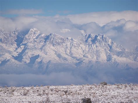 Tumbleweed Crossing: Sandia Mountains in Snow