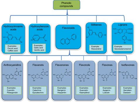 Main Classes Of Polyphenols And Their Chemical Structures Download