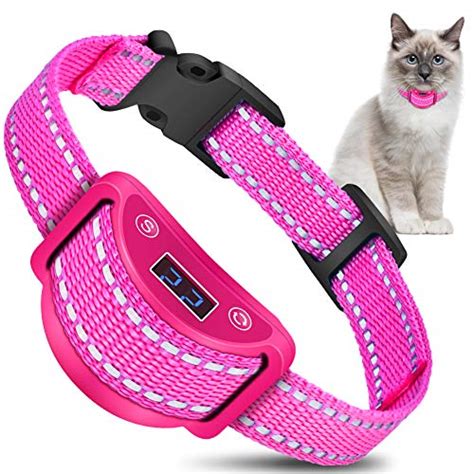 Best Cat Shock Collar For Your Feline Friend