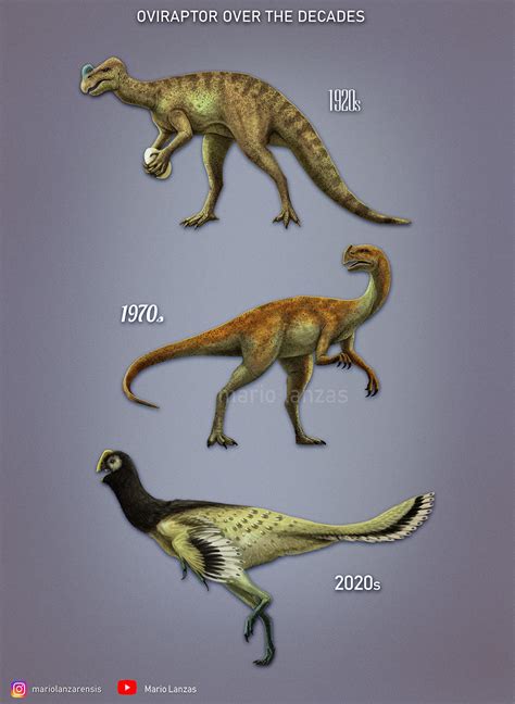 Oviraptor Over The Decades By Mariolanzas On Deviantart