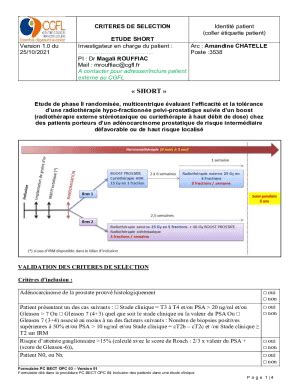 Remplissable En Ligne Etude Short Faxer Email Imprimer Pdffiller