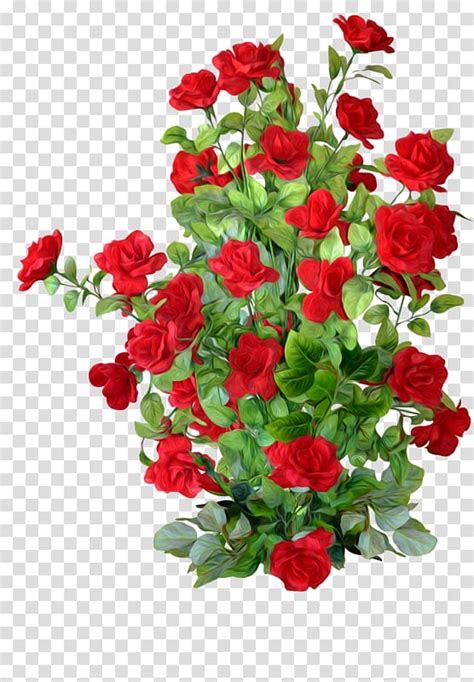 clipart rose bush 10 free Cliparts | Download images on Clipground 2024