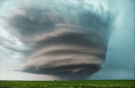 Twister GIF - Twister Tornado GIFs | Say more with Tenor