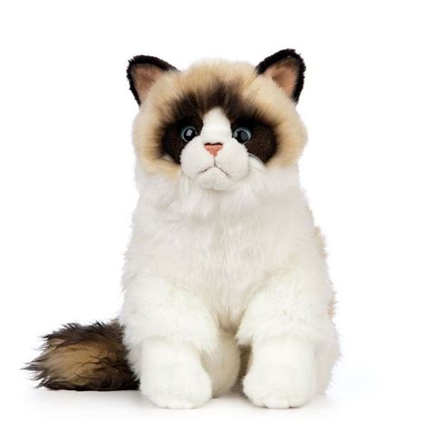 The 5 Best Ragdoll Cat Plush Toys Ragdoll Cats World