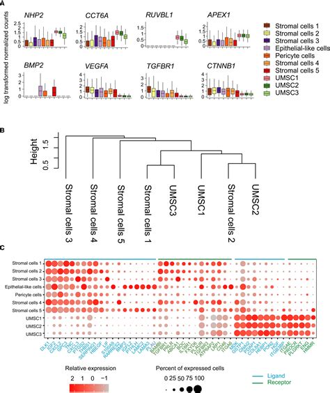 Single‐cell Transcriptome Profiling Reveals Molecular Heterogeneity In