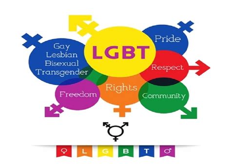 Gay And Lesbian Rights Homosexuality Is Ungodly The Standard Newspaper Gambia