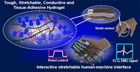 ACS Applied Materials & Interfaces | Vol 14, No 50