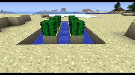 Minecraft Tutorial Automatische Kaktusfarm Youtube