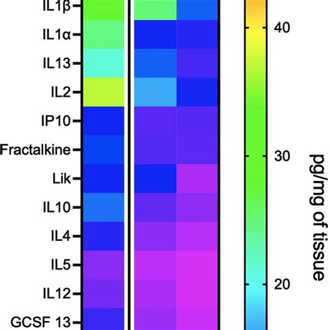 Papillae Implantation Significantly Reduced The Increase Of Cytokine