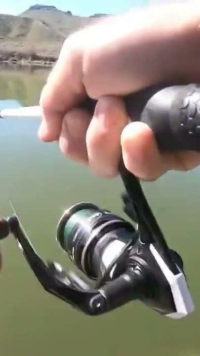 Smallmouth Bass Fishing Snake River Fishing Bassfishing