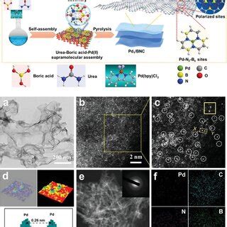 Synthesis And Structural Features Of The Pd1 BNC Catalyst S Schematic