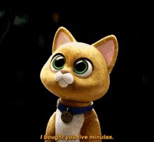 Sox Sex Sox Sex Love Discover Share GIFs