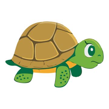 Sea Turtle Cartoon Drawing