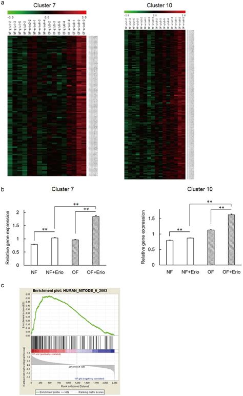 | Analysis of DNA microarray data. (a) Clustering analysis of DNA ...