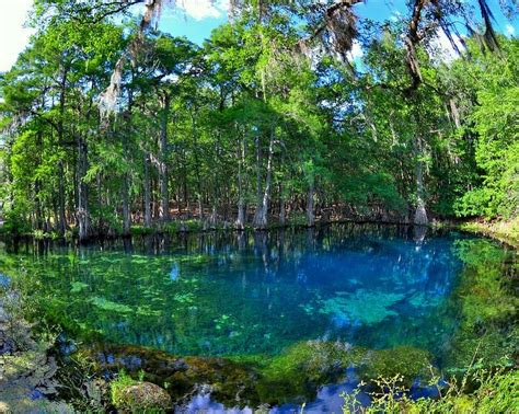 Manatee Springs State Park - All You Need to Know BEFORE You Go (2025)