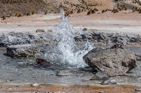 Geyser de Puchuldiza | Herumkommer und Frau Rumkommer
