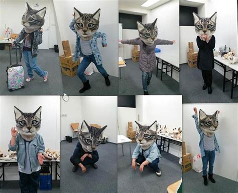 Гигантская реалистичная кошачья голова, которая будет преследовать вас ...