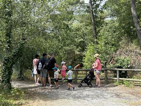 A Malansac dans le parc de préhistoire les dinosaures sont plus vrais