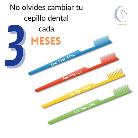 Cada cuánto tiempo debo cambiar mi cepillo dental Por lo general el