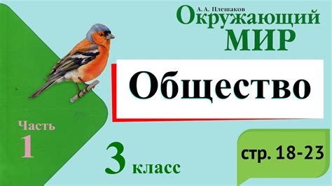 Общество. Окружающий мир. 3 класс, 1 часть. Учебник А. Плешаков стр. 18 ...