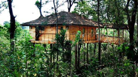 A Tree House In The Middle Of Some Trees