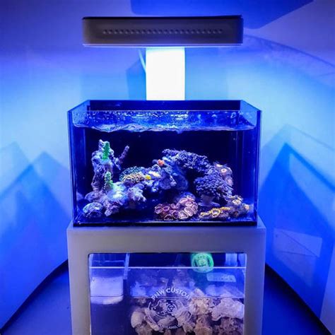 New Micro Reef Tank Systems From PNW Custom CORAL Magazine