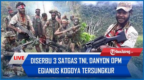 Sia Sia Melawan Diserbu Satgas Tni Danyon Opm Egianus Kogoya