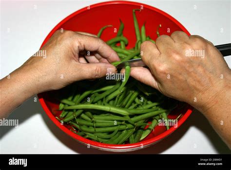 Food Aliment Hand Hands Garden Green Beans Boil Cooks Boiling Cooking