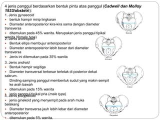 bentuk ukuran panggul  syerlipptx