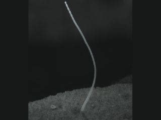 Naked Latest News Photos Videos On Naked NDTV