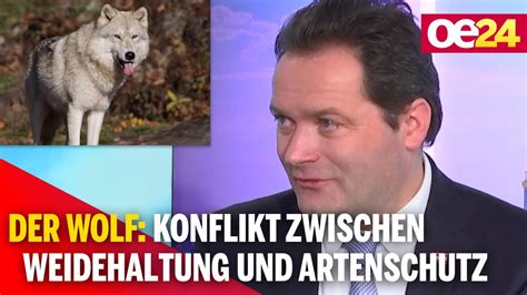 Unsere Tiere Der Wolf Konflikt Zwischen Weidehaltung Und Artenschutz