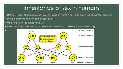 Genetics And Inheritance Ppt Download