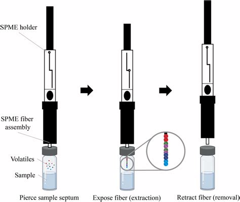 The Three Steps In The Application Of Headspace Solid‐phase