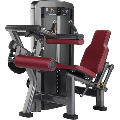 Life Fitness Insignia Series Seated Leg Curl Machine Shop Online