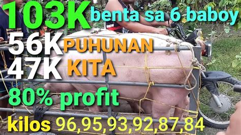 47K KITA SA 6 BABOY PAANO MALAMAN Kung MAGKANO ANG KITA AT PUHUNAN SA