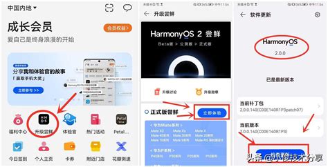 荣耀手机怎么升级鸿蒙系统升级鸿蒙系统3种方法 电脑装配网